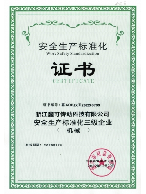 20221229效期2025年12月安標(biāo)化三級(jí)證書